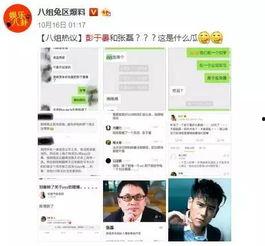 纯属娱乐爆料是什么,纯属娱乐爆料大揭秘