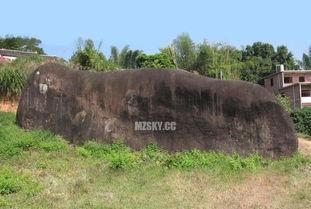 梅州兴宁爆料事件最新,真相追踪与舆论漩涡