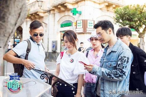 中餐厅第三季在线观看,美味之旅，温馨重现